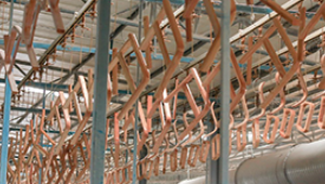Environmentally friendly UV dust-free coating line